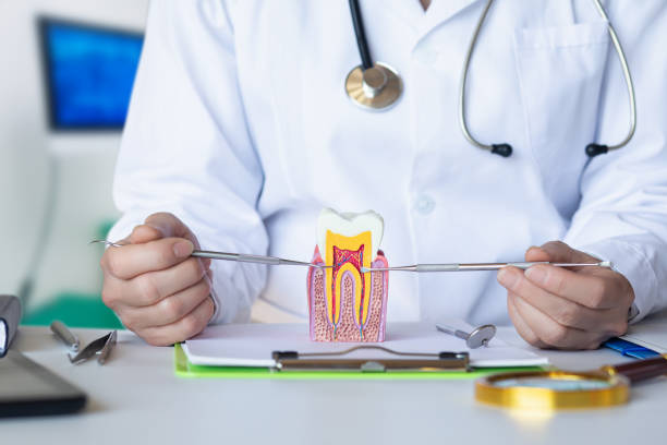 , MO Emergency Dental Service Company